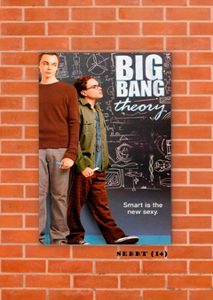 Big Bang Theory 14 en internet