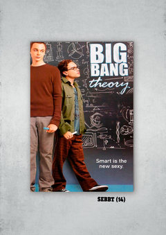 Big Bang Theory 14