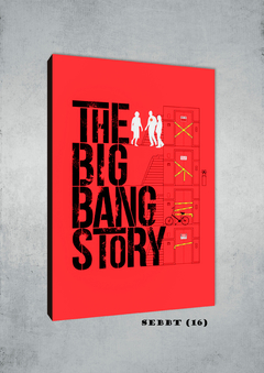Big Bang Theory 16 - comprar online