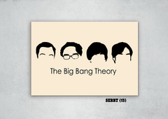 Big Bang Theory 17