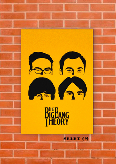 Big Bang Theory 9 en internet