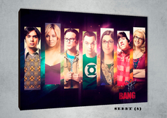 Big Bang Theory 8 - comprar online