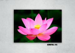 Flor de loto 11