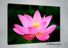 Flor de loto 11 - comprar online