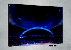 Ligas y copas (UEFA) 13 - comprar online