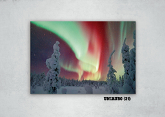 Aurora Boreal 21 - comprar online