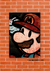 Mario Bros 2 - GG Cuadros
