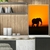 Quadro Decorativo Elefante Africano Pôr do Sol - Moldura Maringá - Quadros Decorativos