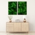 Dupla de Quadros Decorativos Natureza Viva Folhas Verde