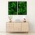 Dupla de Quadros Decorativos Natureza Viva Folhas Verde na internet