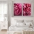 Dupla de Quadros Flores Pink