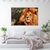 Quadro Decorativo Leão Savana Horizontal na internet