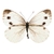 Quadro Decorativo 1 Tela Animais Borboleta V - comprar online