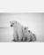 Quadro Decorativo 1 Tela Animais Urso-Polar - comprar online