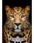 Quadro Decorativo 1 Tela Animais Leopardo II - comprar online