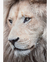 Quadro Decorativo 1 Tela Animais Leão IV - comprar online