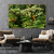 Quadro Decorativo 1 Tela Paisagem e Natureza Floresta Austrália II