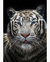 Quadro Decorativo 1 Tela Animais Tigre IV - comprar online