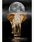 Quadro Decorativo 1 Tela Animais Elefante IV - comprar online