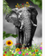 Quadro Decorativo 1 Tela Animais Elefante VI - comprar online
