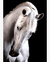 Quadro Decorativo 1 Tela Animais Cavalo II - comprar online