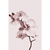 Quadro Decorativo 2 Telas Florais e Folhagens Orquídeas em Tons de Cinza Monocromática na internet