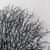 Quadro Artesanal Coral Angra Preto 60x80cm na internet