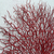Quadro Artesanal Coral Angra Vermelho 60x80cm na internet