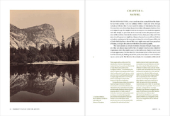 Emerson's Nature and the Artists - Idea as Landscape, Landscape as Idea - Falena