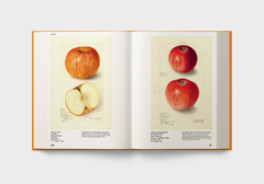 An Illustrated Catalog of American Fruits & Nuts - comprar online