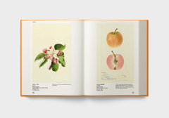 An Illustrated Catalog of American Fruits & Nuts en internet