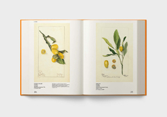 An Illustrated Catalog of American Fruits & Nuts - tienda online