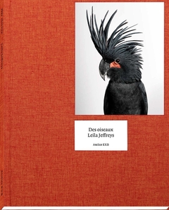 Des Oiseaux - Leila Jeffreys - comprar online