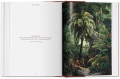 El libro de las palmeras - The Book of Palms - tienda online