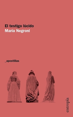 El testigo lúcido - La obra de sombra de Alejandra Pizarnik - María Negroni