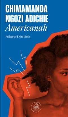 Americanah - Chimamanda Ngozi Adichie - comprar online