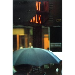 All about Saul Leiter - comprar online