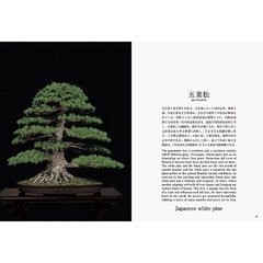 Bonsai by Kunio Kobayashi - comprar online