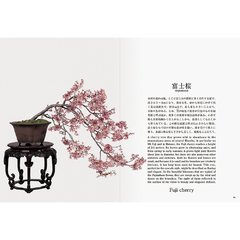 Bonsai by Kunio Kobayashi en internet