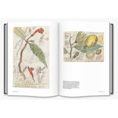 Botanical Sketchbooks - Falena