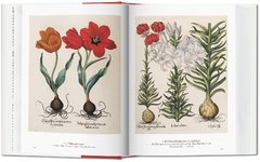 Un jardín del edén - Obras maestras de la ilustración botánica - comprar online