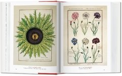 Un jardín del edén - Obras maestras de la ilustración botánica - Falena