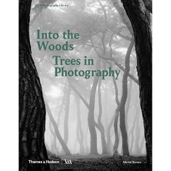 Into the Woods - Trees and Photography