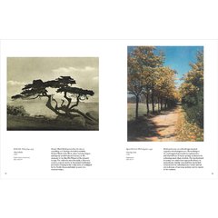 Into the Woods - Trees and Photography - tienda online