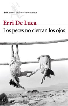 Los peces no cierran los ojos - Erri De Luca