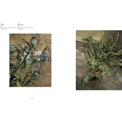 Lucian Freud - Herbarium - comprar online