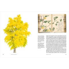 Remarkable trees - comprar online