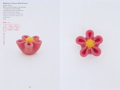 Wagashi - The Art of Japanese confectionery - comprar online