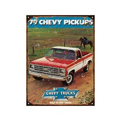 Chevy Pick Up 19