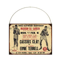 Muhammad Ali vs Ernie Terrell